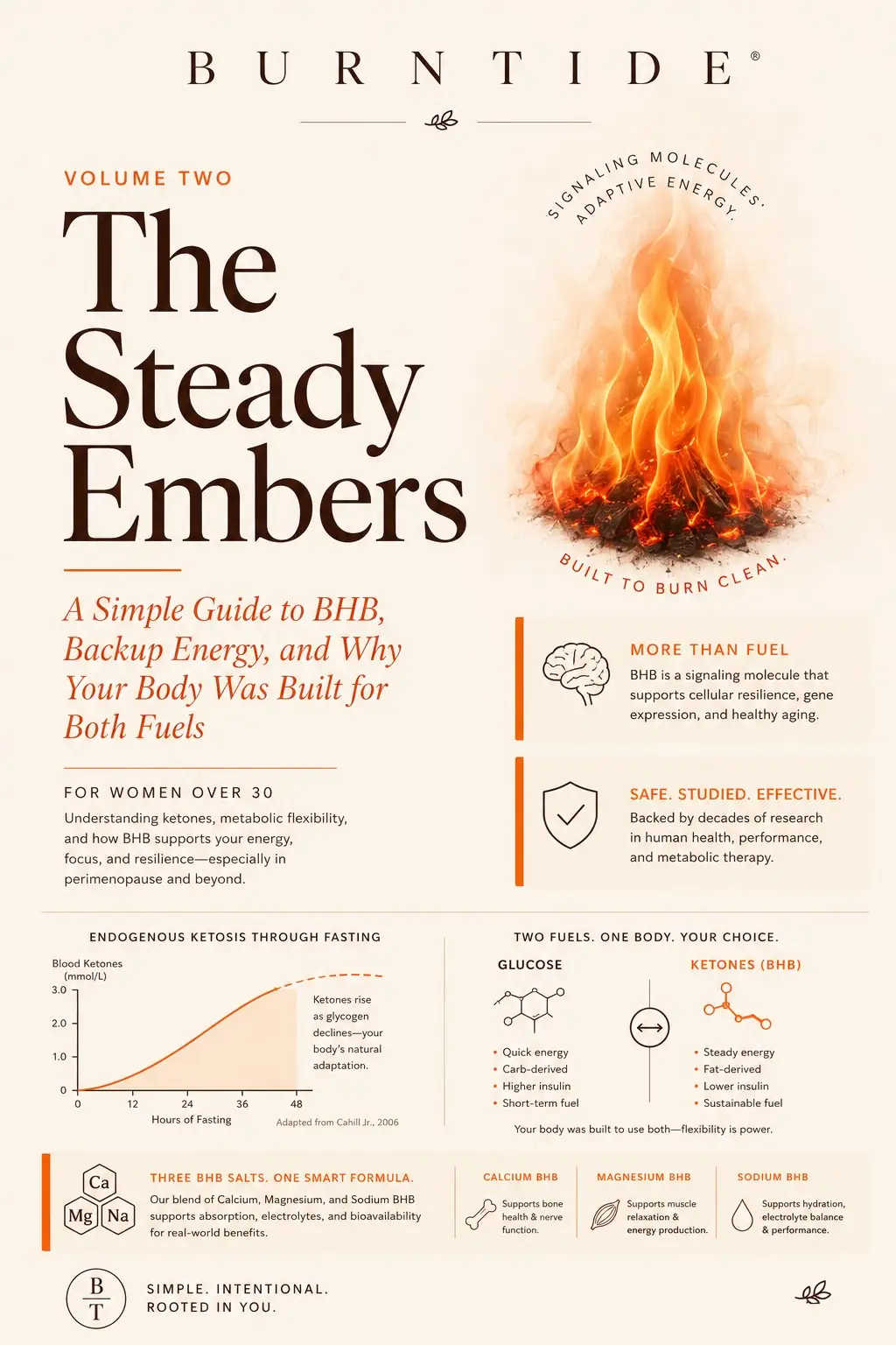 Bonus guide: The Steady Embers, a guide to BHB and backup energy